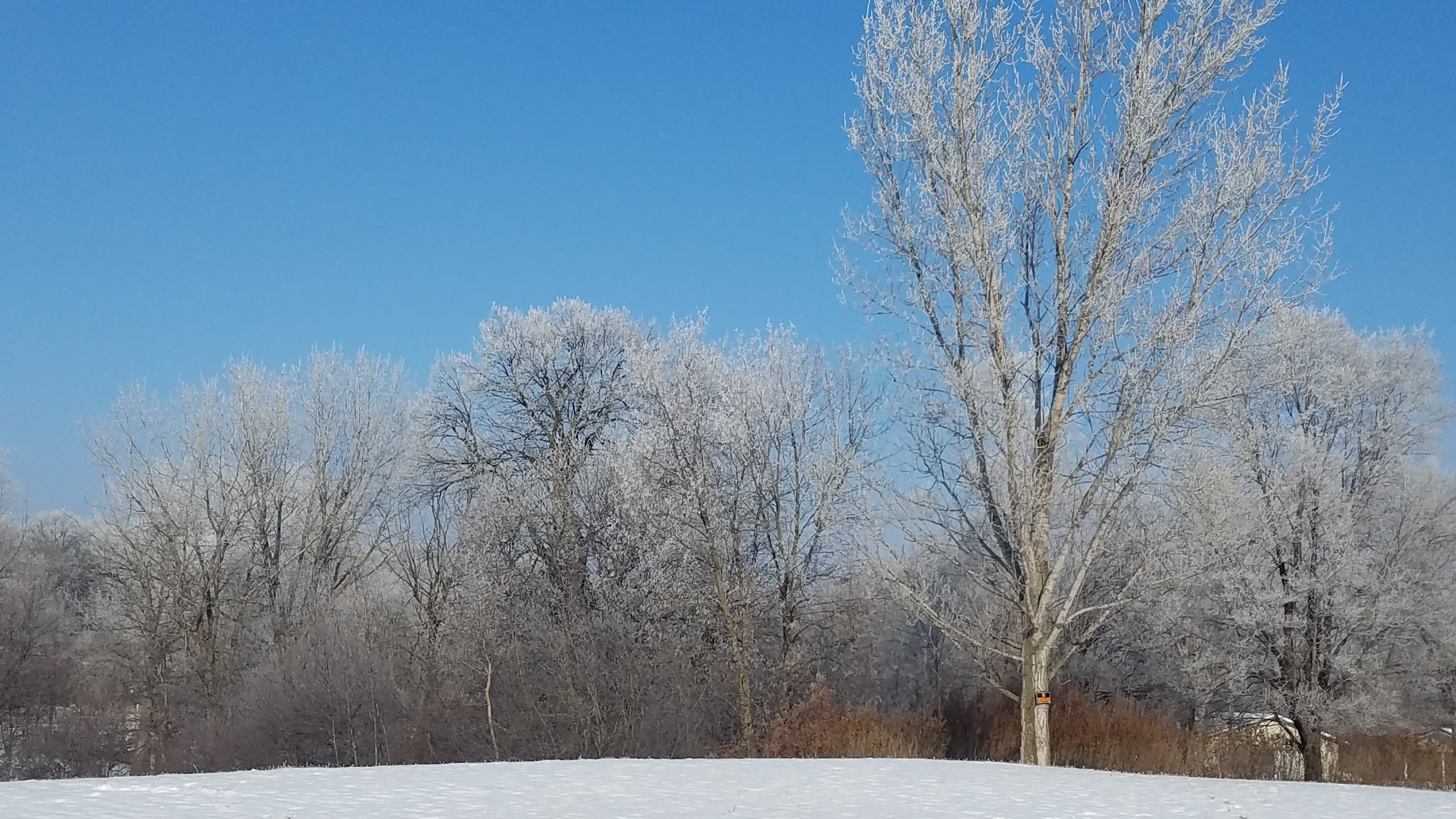 Local area scenic view